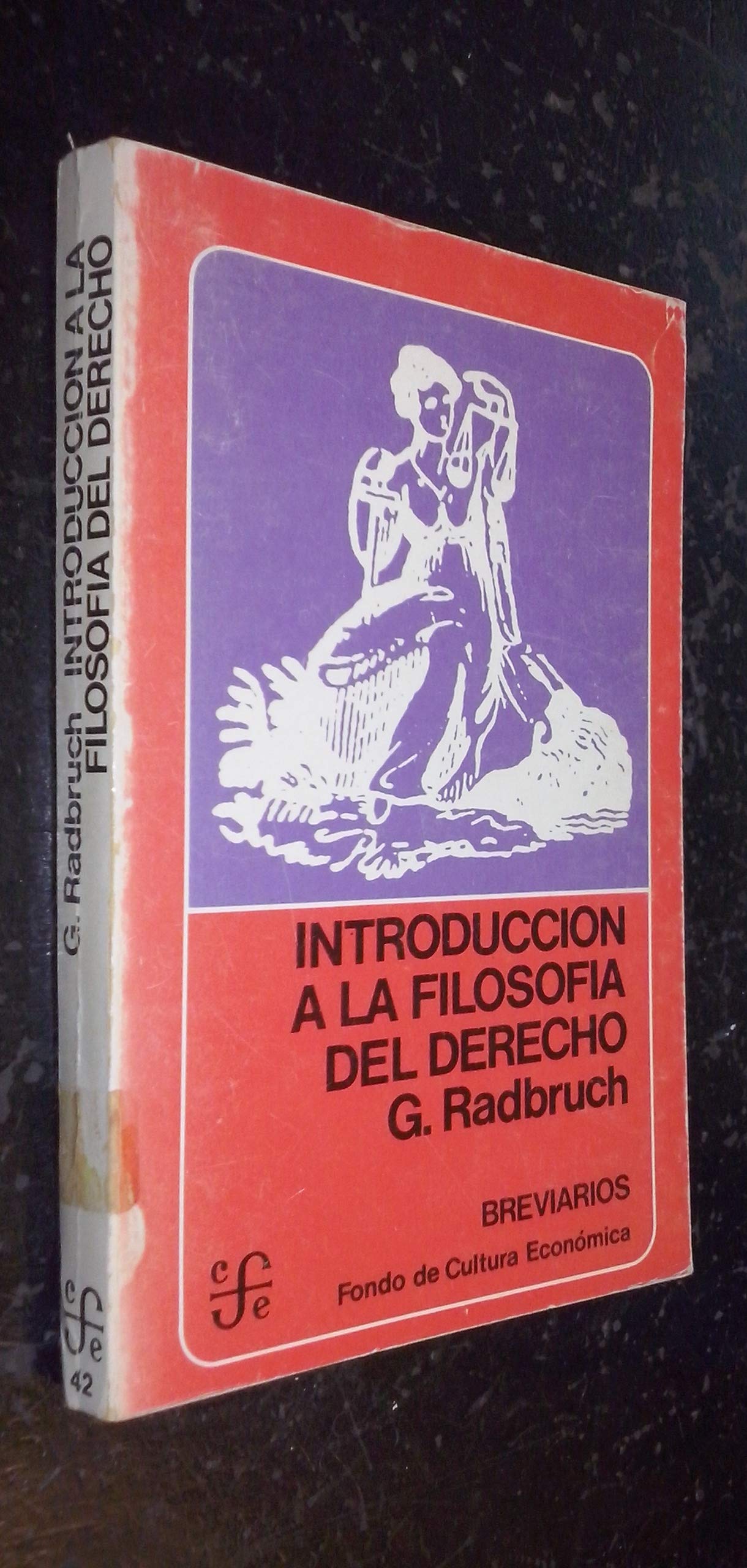 INTRODUCCION A LA FILOSOFIA DEL DERECHO (SIN COLECCION)