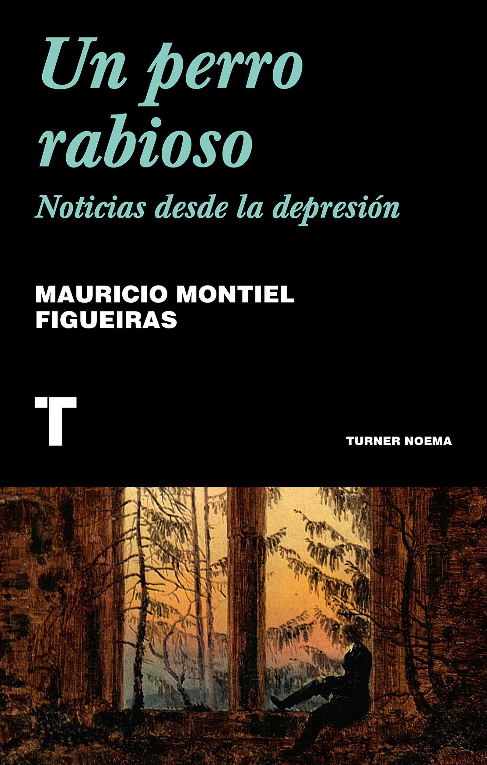 Un perro rabioso: Noticias desde la depresión (Noema)