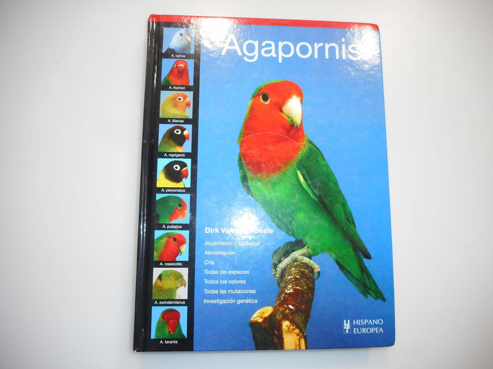 Agapornis (SIN COLECCION)