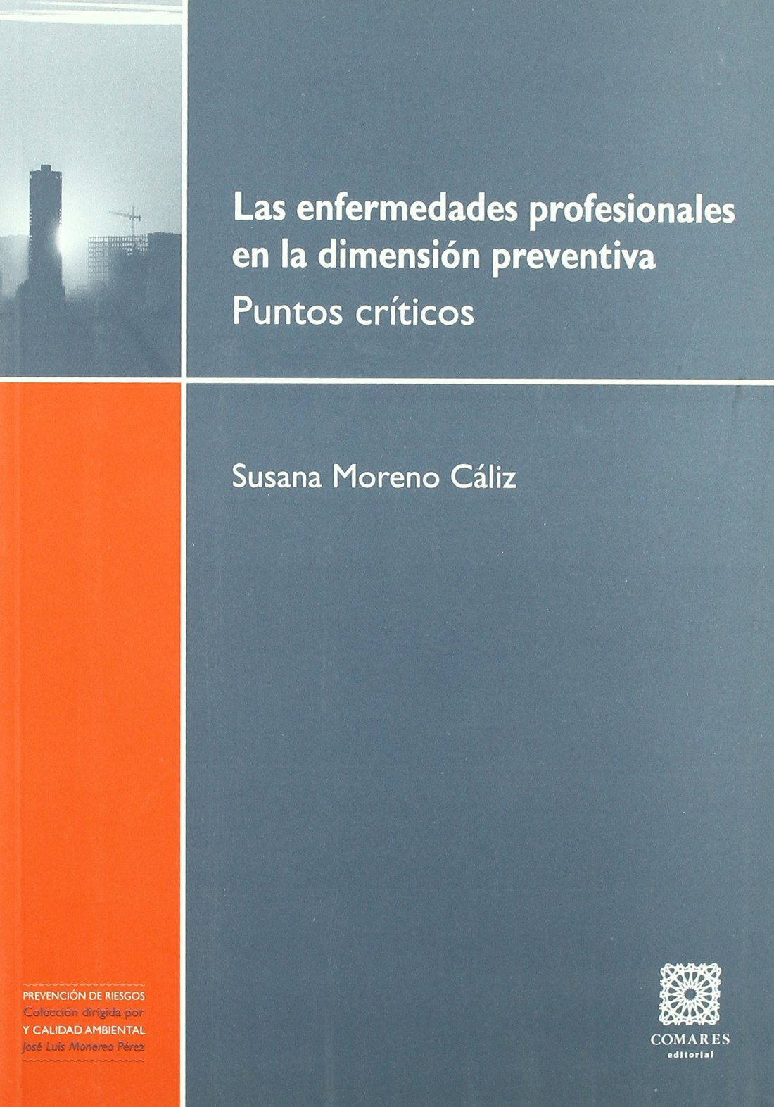 Las enfermedades profesionales en la dimensión preventiva (SIN COLECCION)