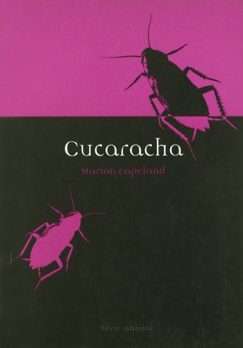 Cucaracha