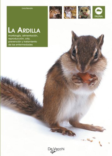 La ardilla (Animales)