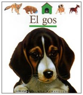 El gos: 34 (Mundo maravilloso)