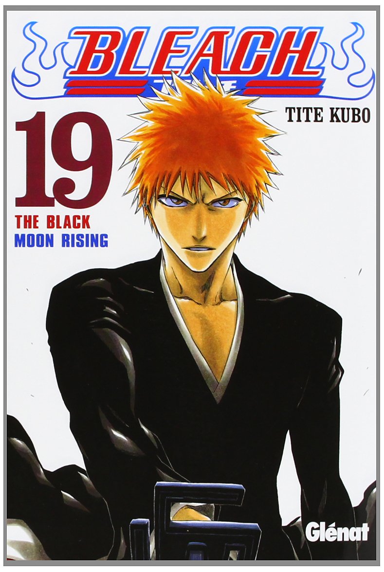 Bleach 19 (Shonen Manga)