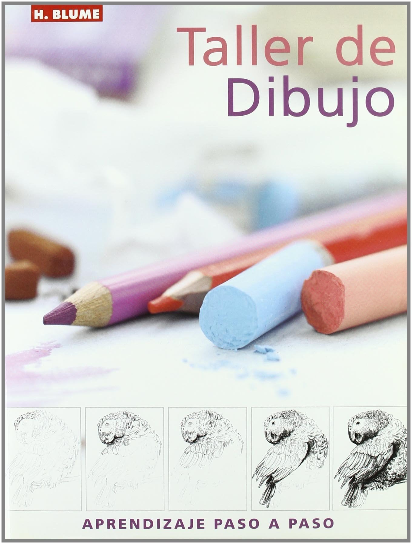 Taller de dibujo: 66 (Artes, técnicas y métodos)