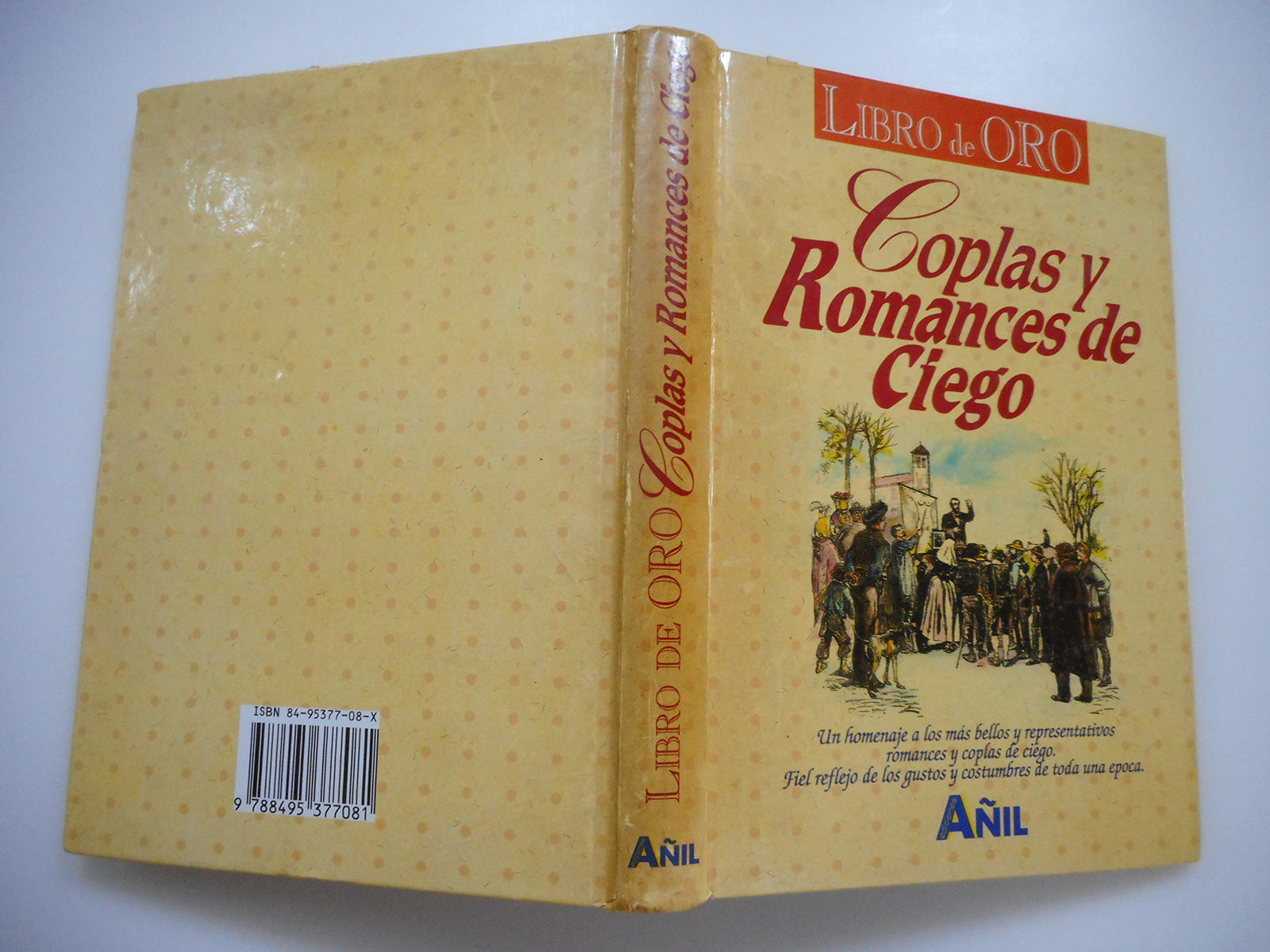 COPLAS Y ROMANCES DE CIEGO LIBRO DE ORO