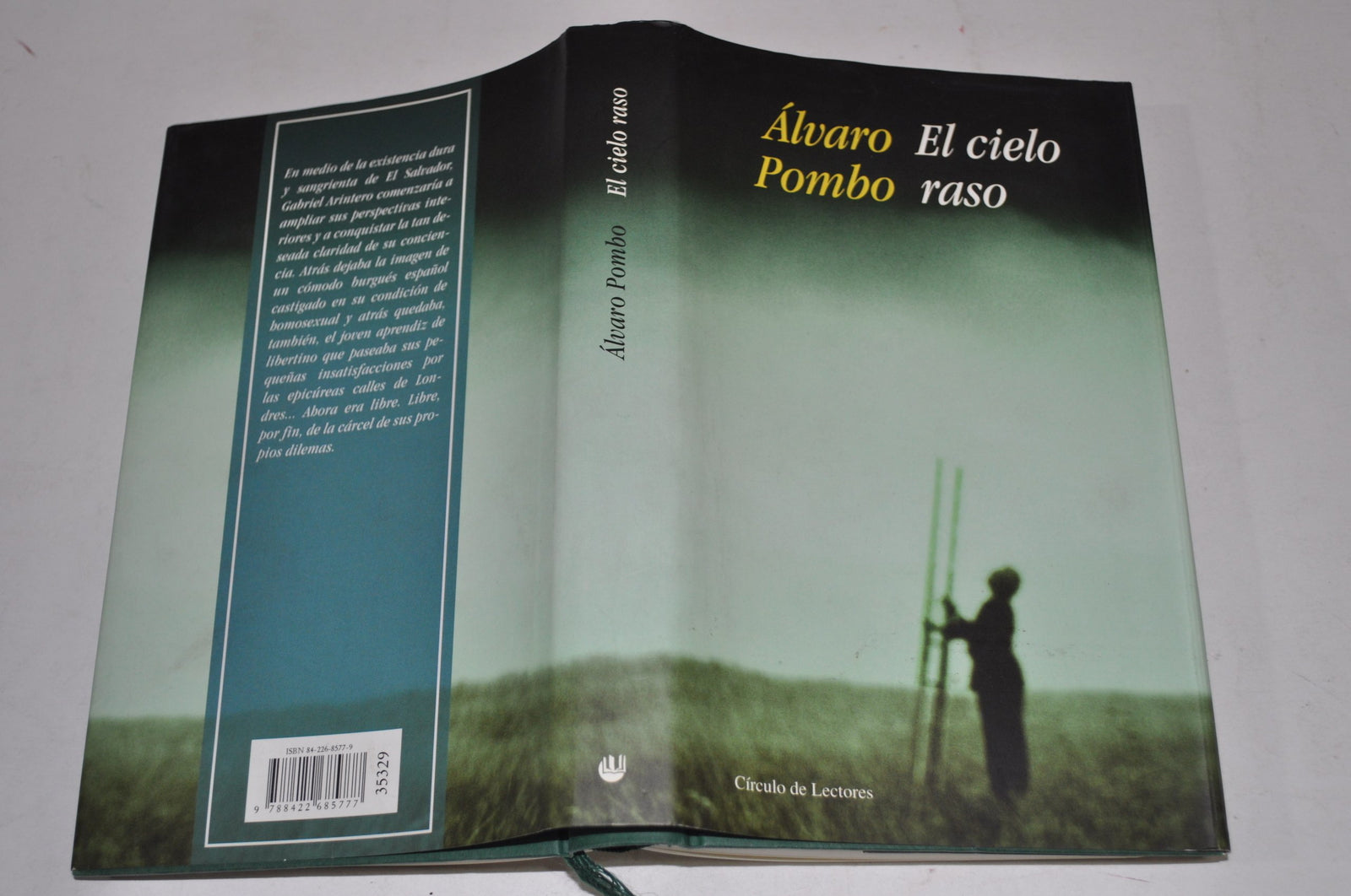 El cielo raso