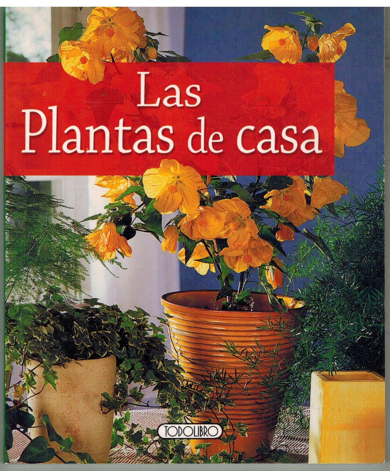 Plantas de casa, las
