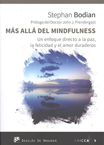 Más allá del Mindfulness: 9 (ANICCA)