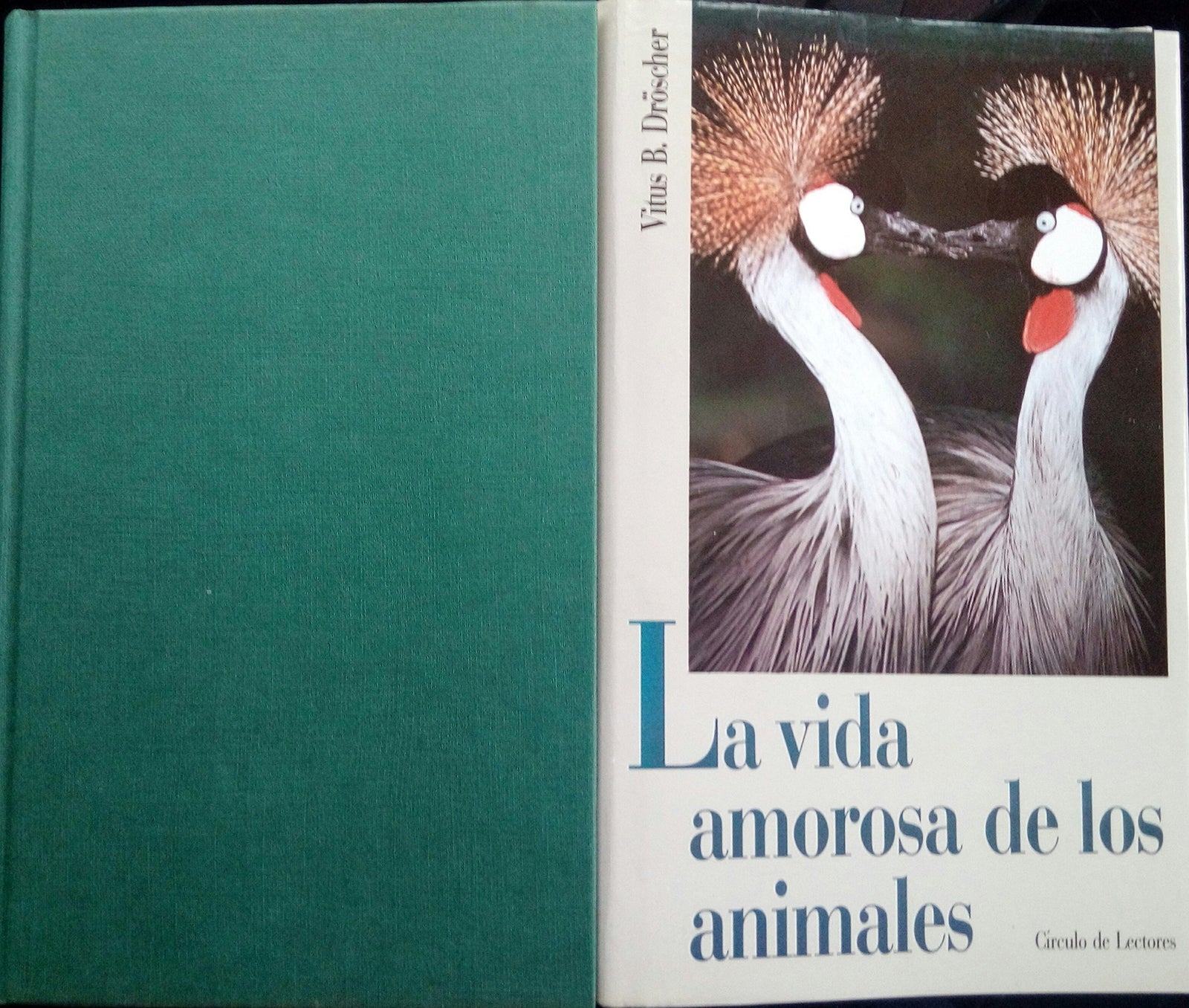 LA VIDA AMOROSA DE LOS ANIMALES