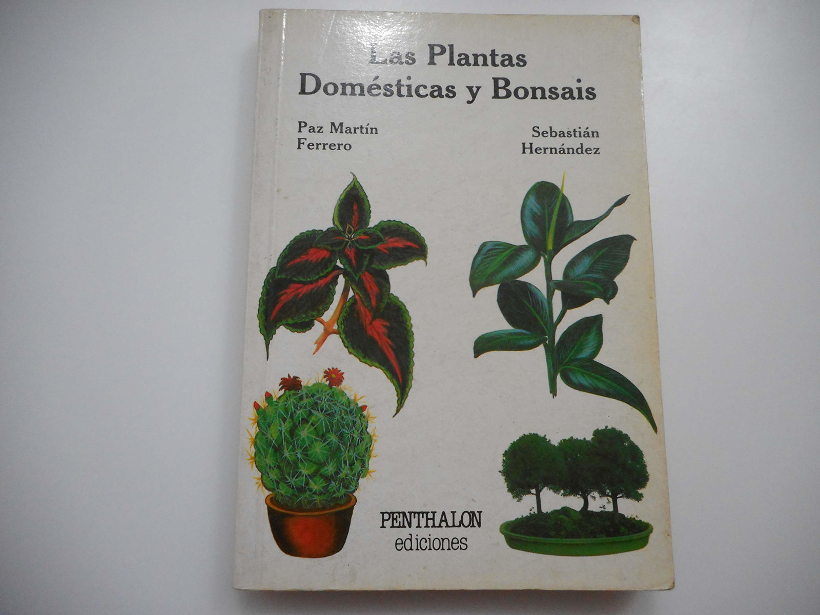 Plantas Domesticas y Bonsais