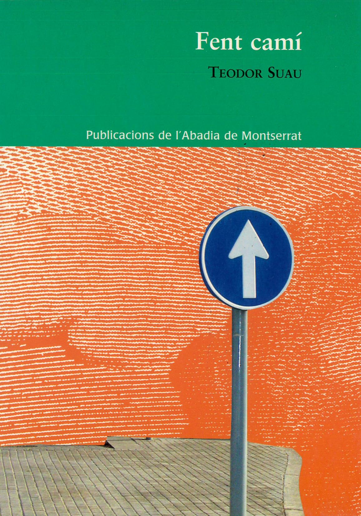 Fent camí: 165 (Saurí)