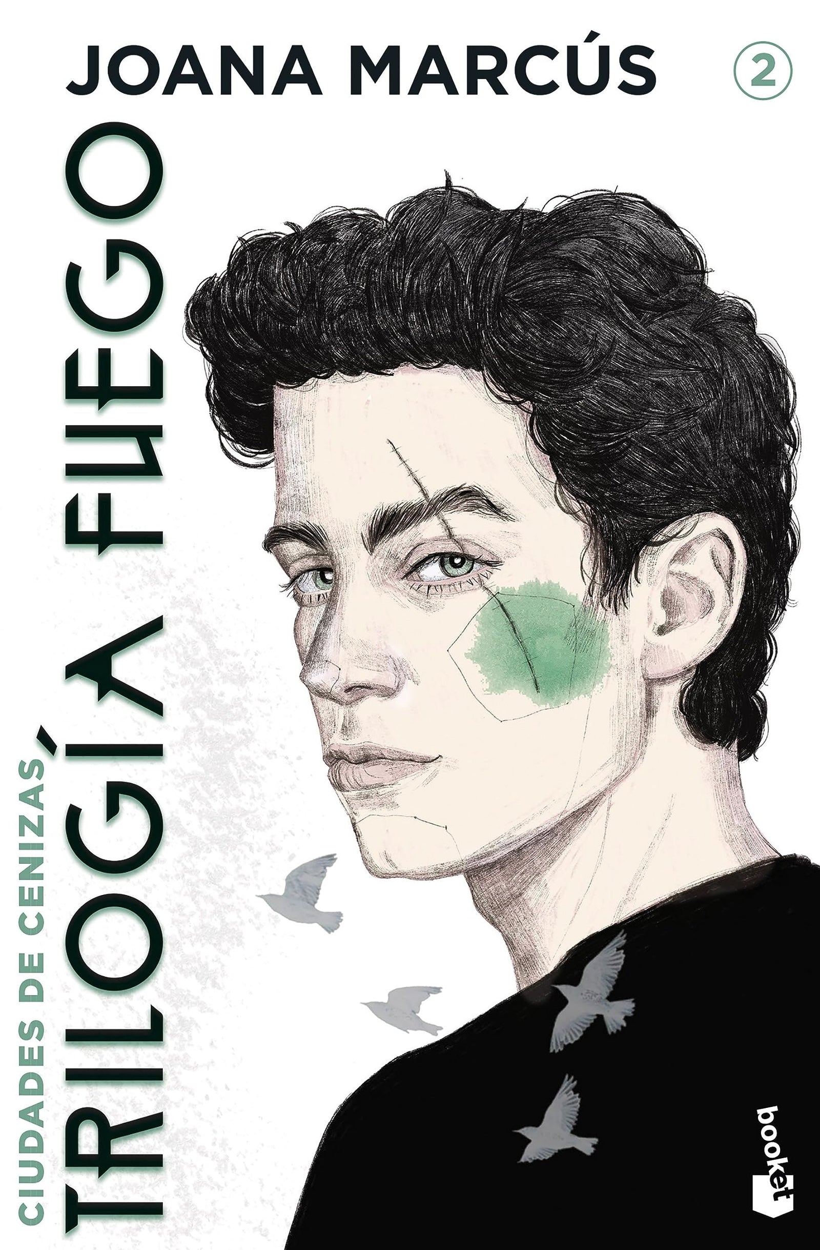 Trilogía Fuego 2. Ciudades de cenizas (Novela)