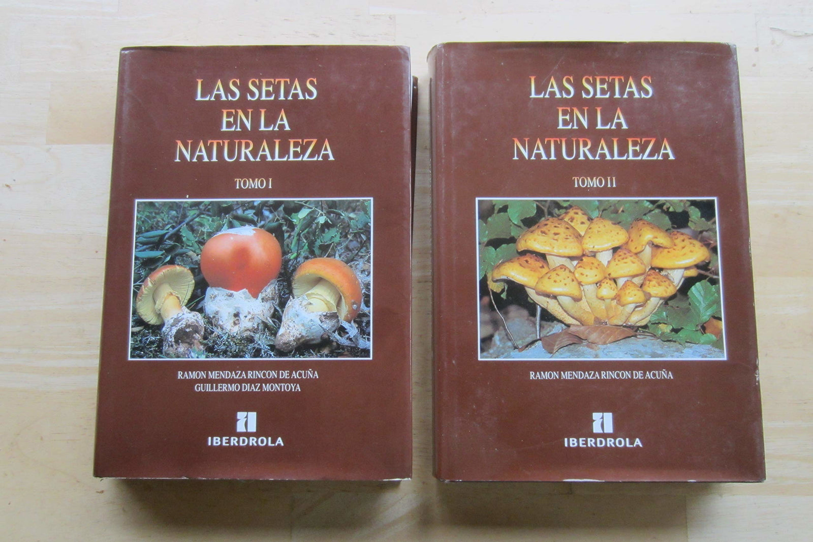 Setas en la naturaleza, las