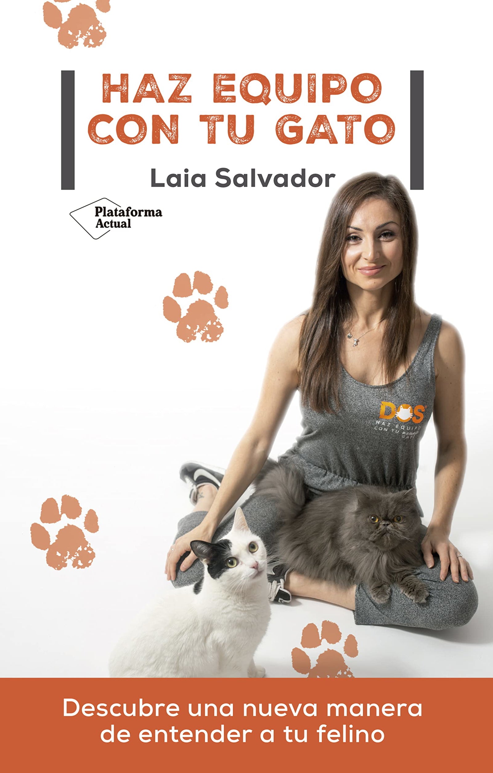 Haz equipo con tu gato (ACTUAL)