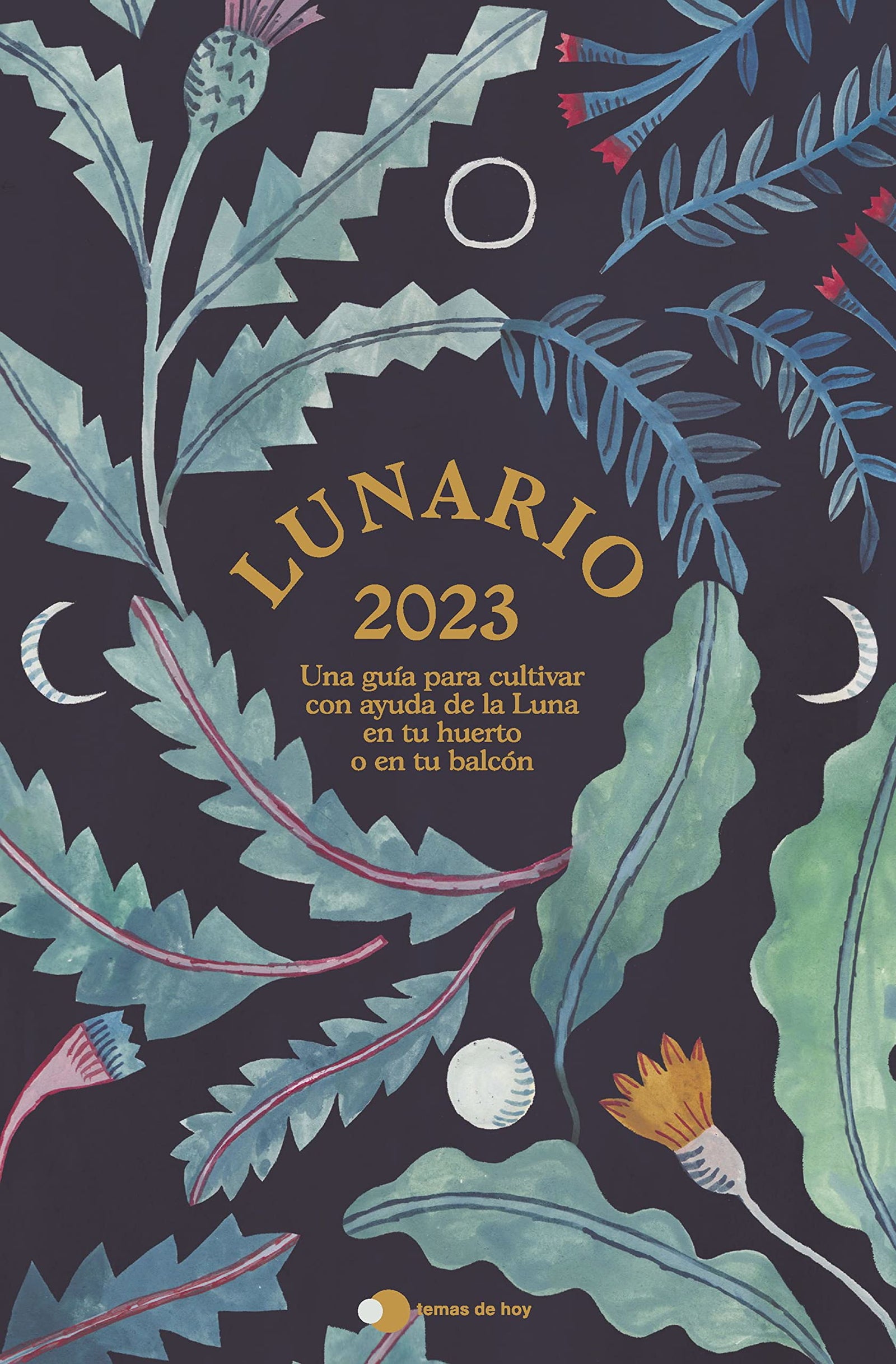 Lunario 2023: Una guía para cultivar con ayuda de la Luna en tu huerto o en tu balcón (temas de hoy)
