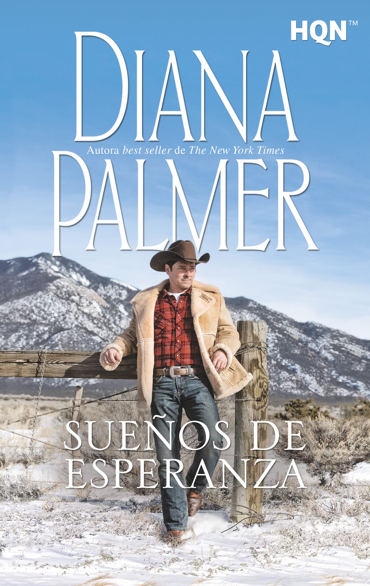 Sueños de esperanza: 258 (HQN)