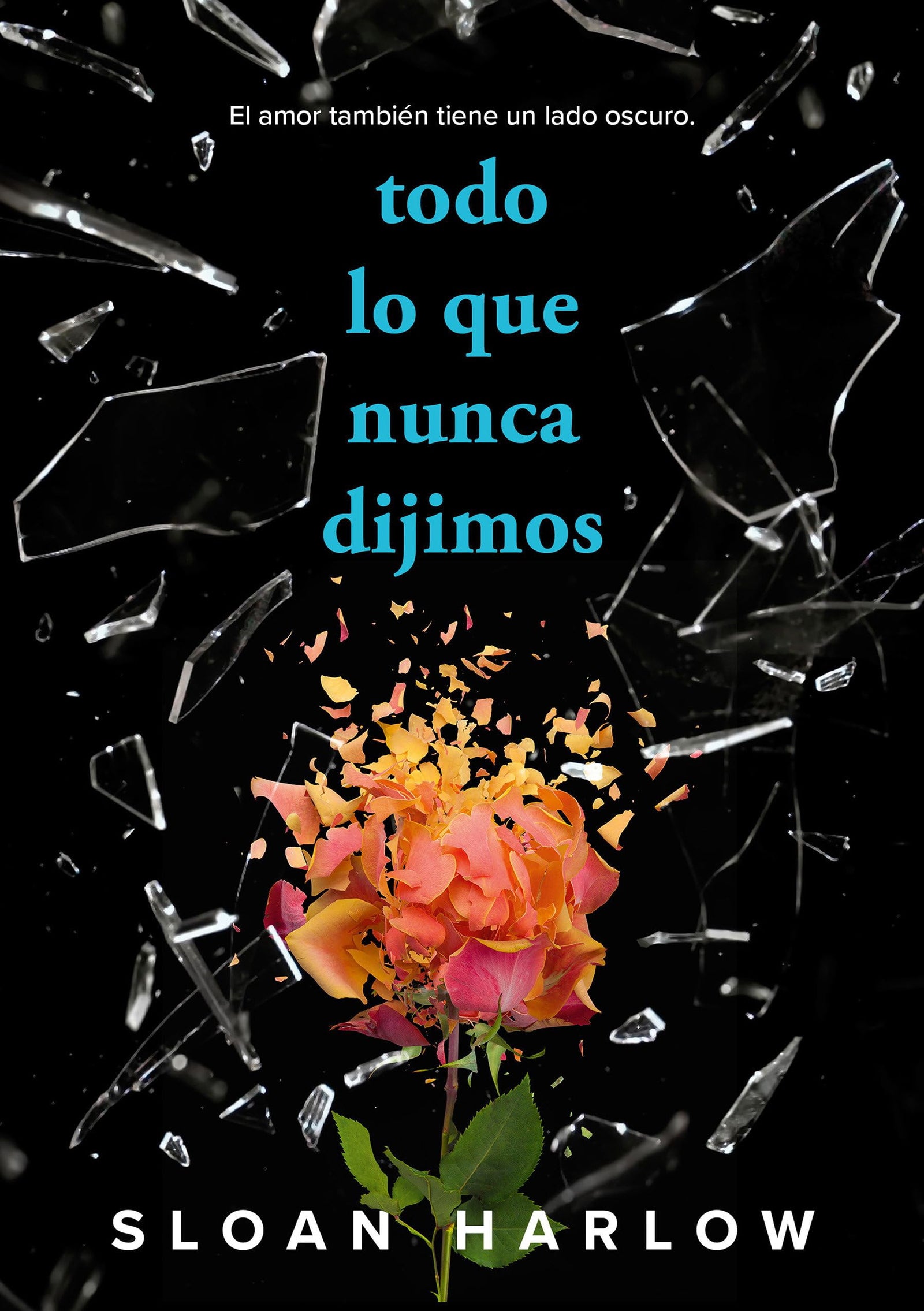 Todo lo que nunca dijimos (Sin límites)