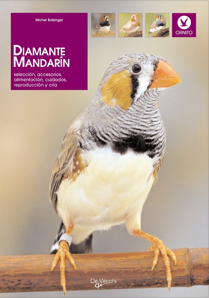 Diamante mandarín (Animales)