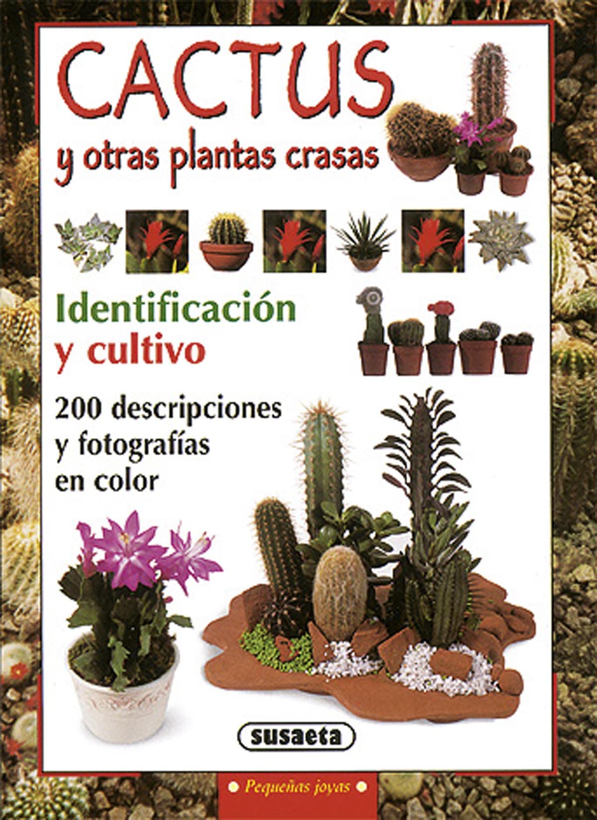 Cactus Y Otras Plantas Crasas (Pequeñas Joyas)