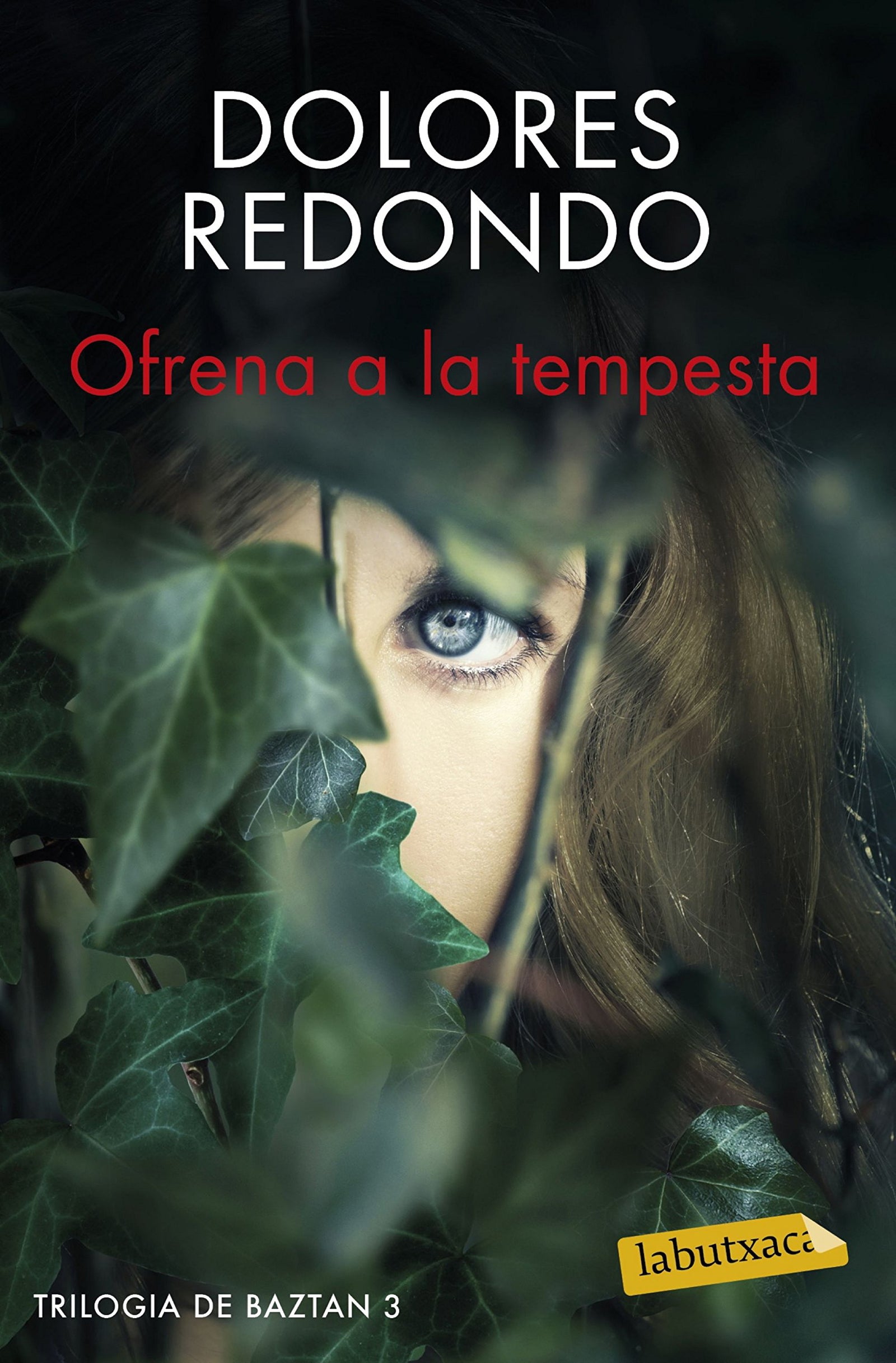 Ofrena a la tempesta: Trilogia de Baztan 3 (LABUTXACA) [Catalán]