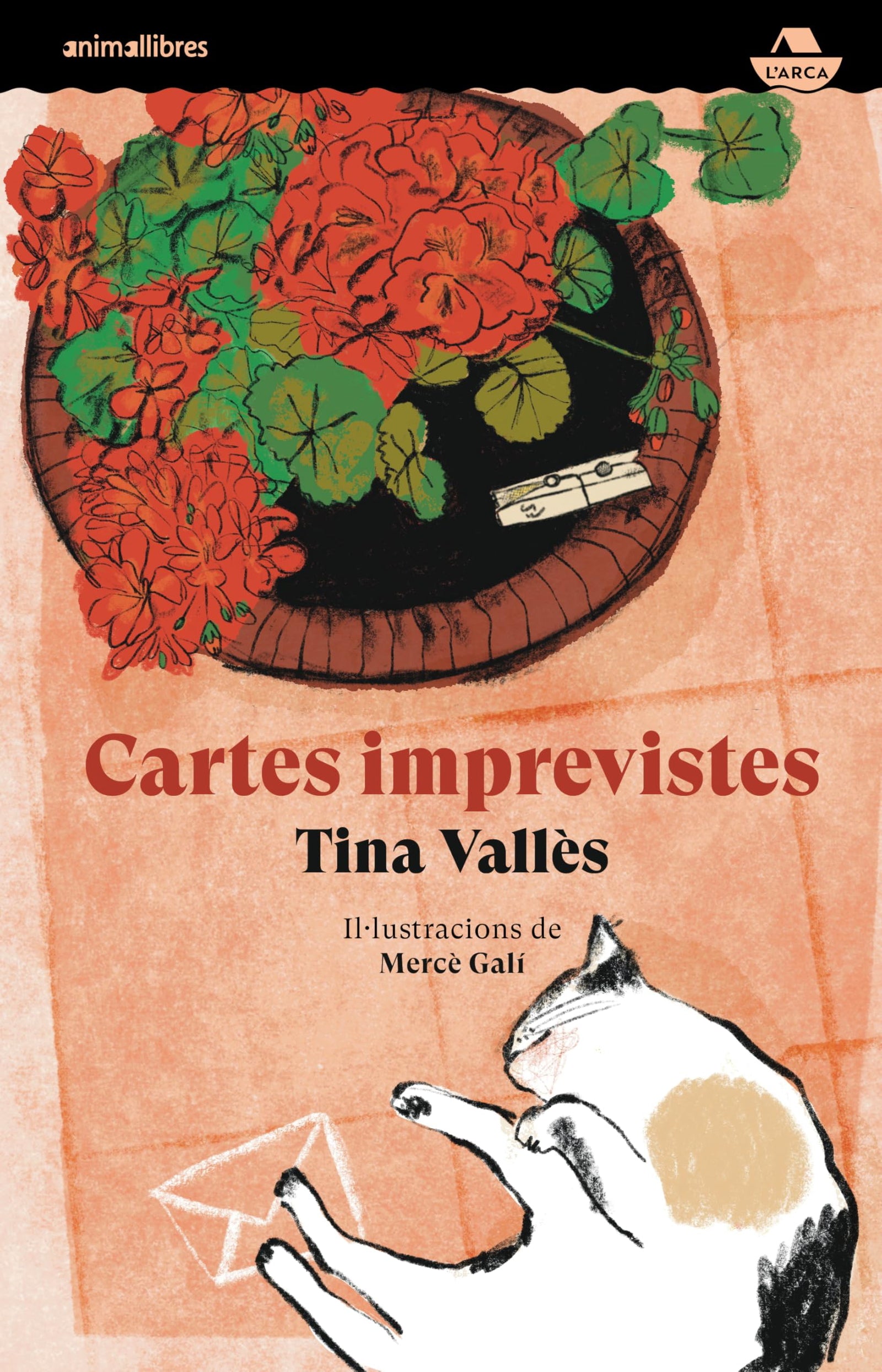 Cartes Imprevistes (L'Arca)