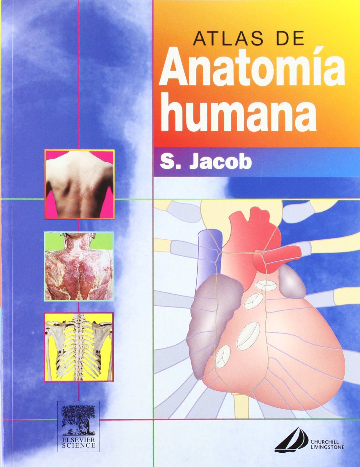Atlas de anatomía humana