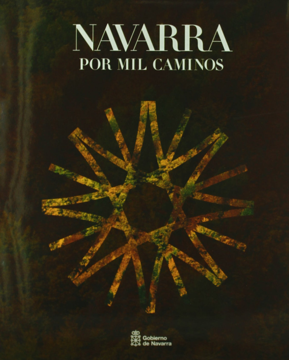 Navarra por mil caminos