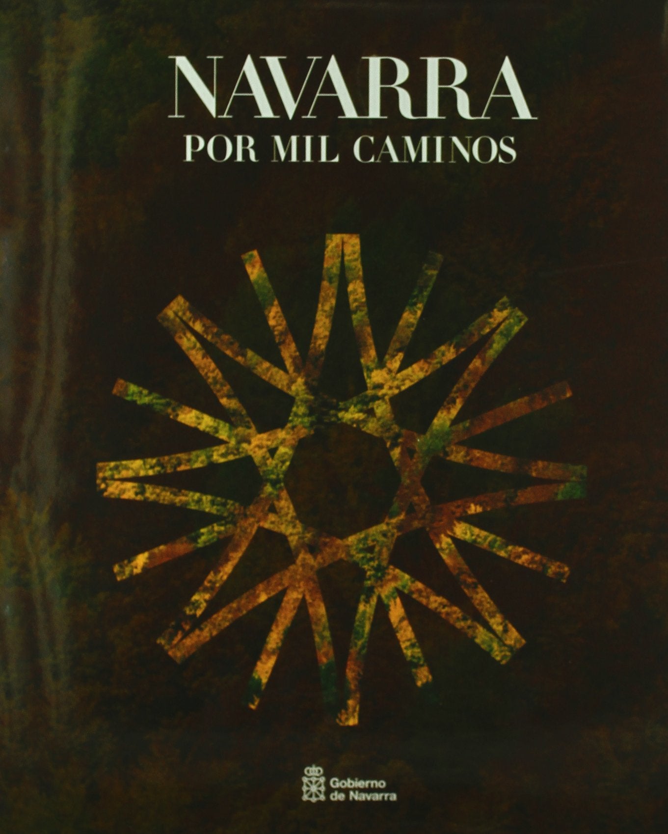 Navarra por mil caminos