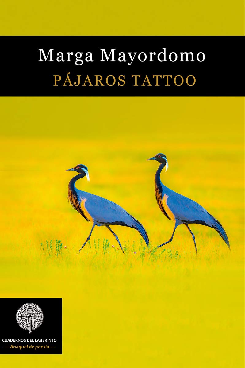 Pájaros Tattoo (COLECCIÓN ANAQUEL DE POESÍA)