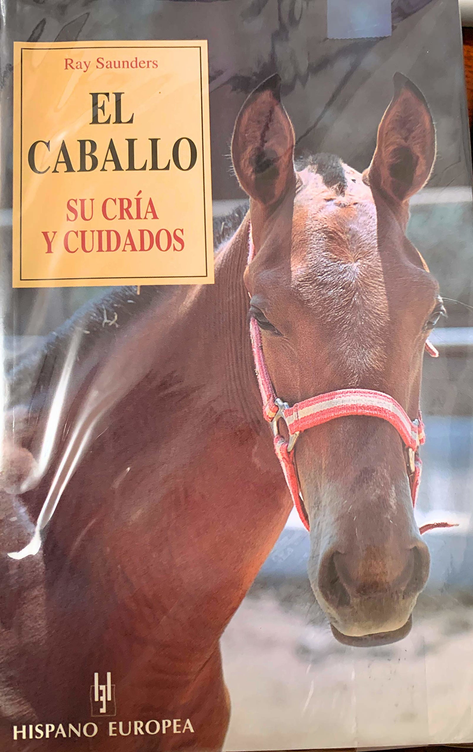 CABALLO SU CRIA Y CUIDADOS (SALUD,YOGA,RELAJACION)