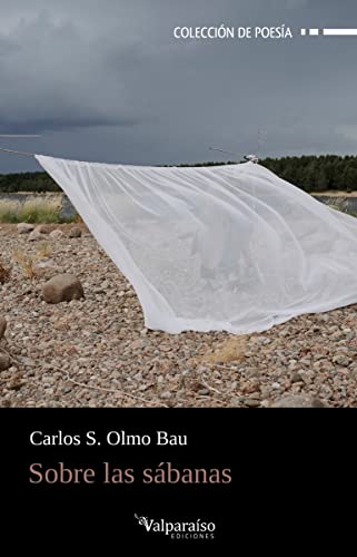 Sobre las sábanas: 319 (Colección Valparaíso de Poesía)