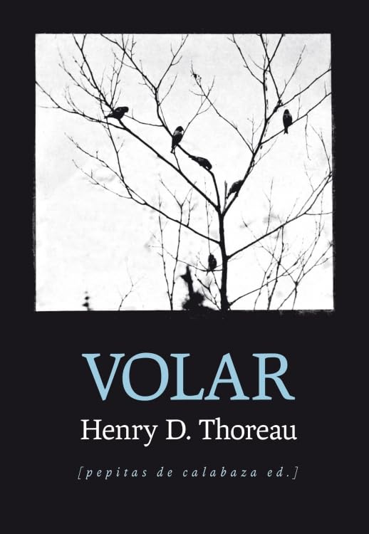 Volar (FONDO)