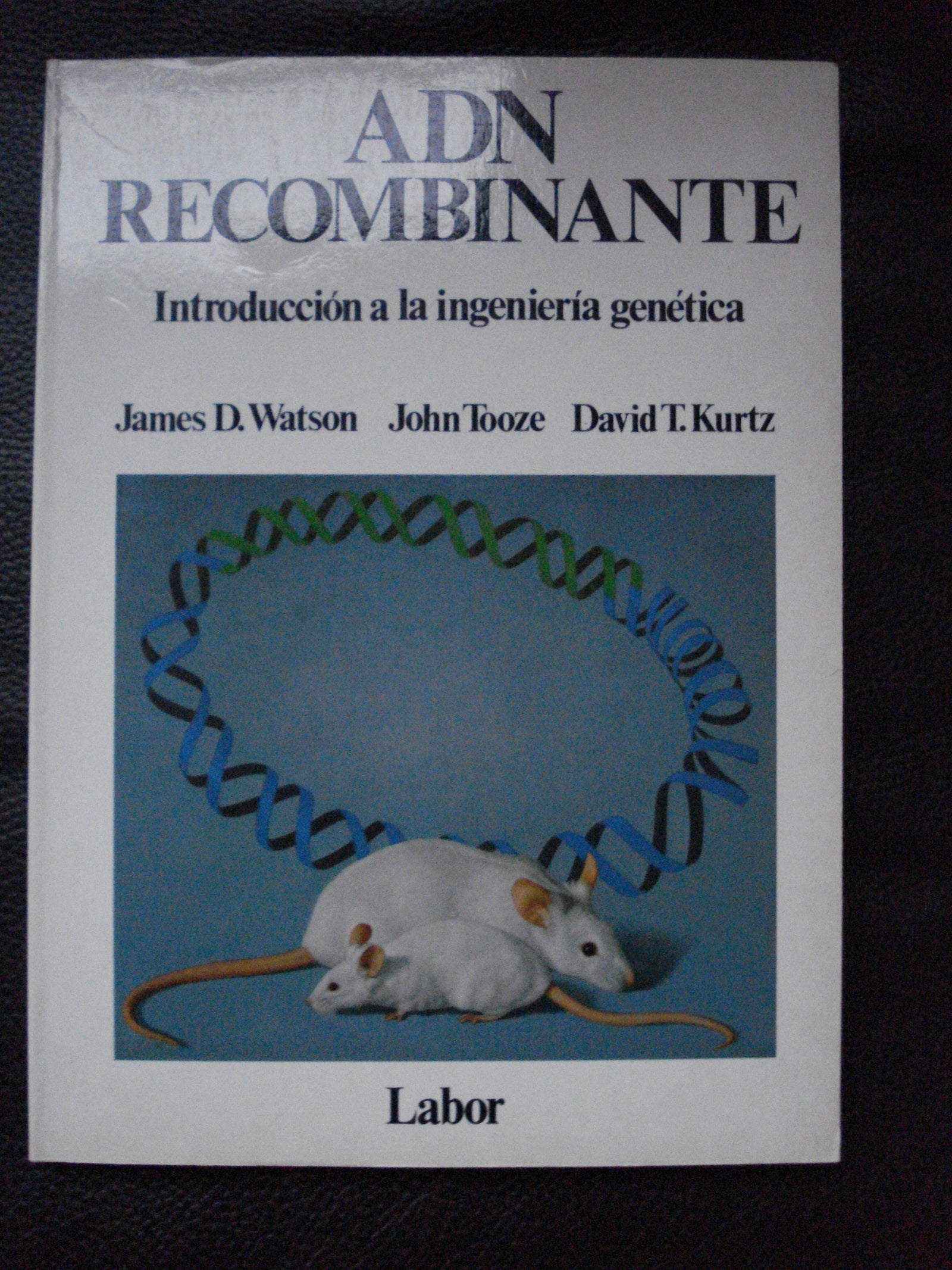 Adn recombinante : introduccion a la ingenieria genetica