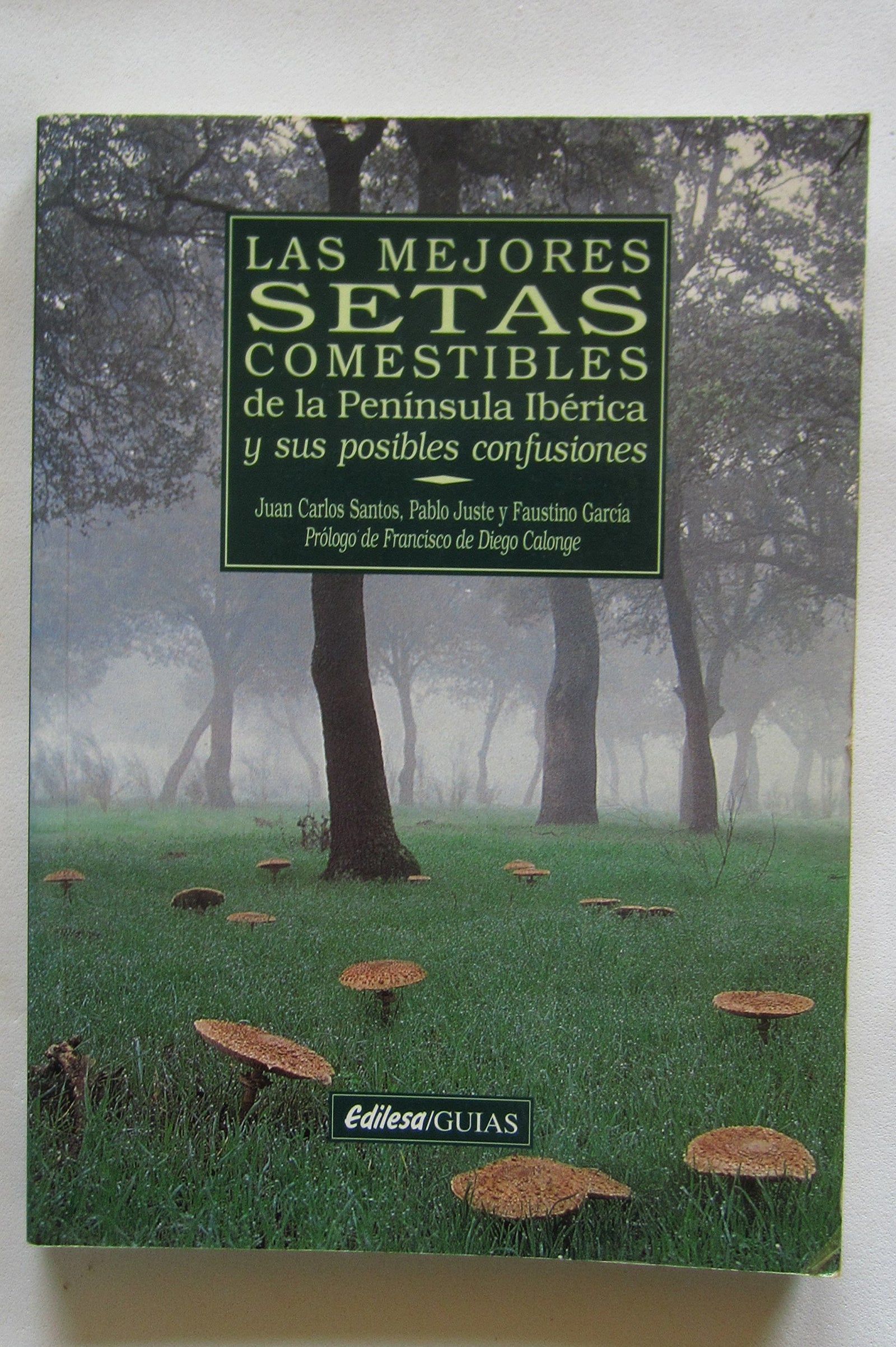 Las Mejores Setas Comestibles De La Peninsula Iberica Y Confusiones