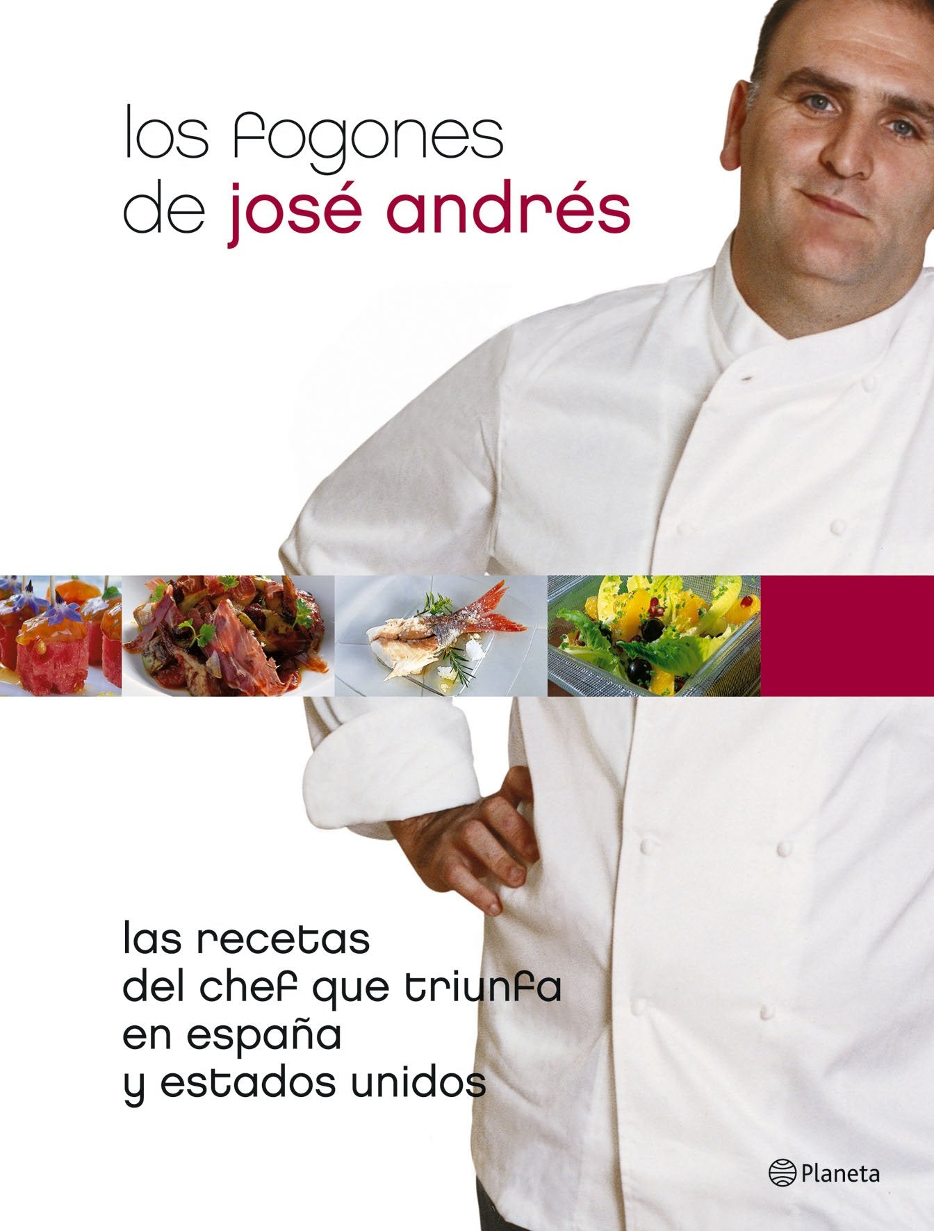 Los Fogones De Jose Andres/the Burners of Jose Andres: las recetas del chef que triunfa en espana y estados unidos