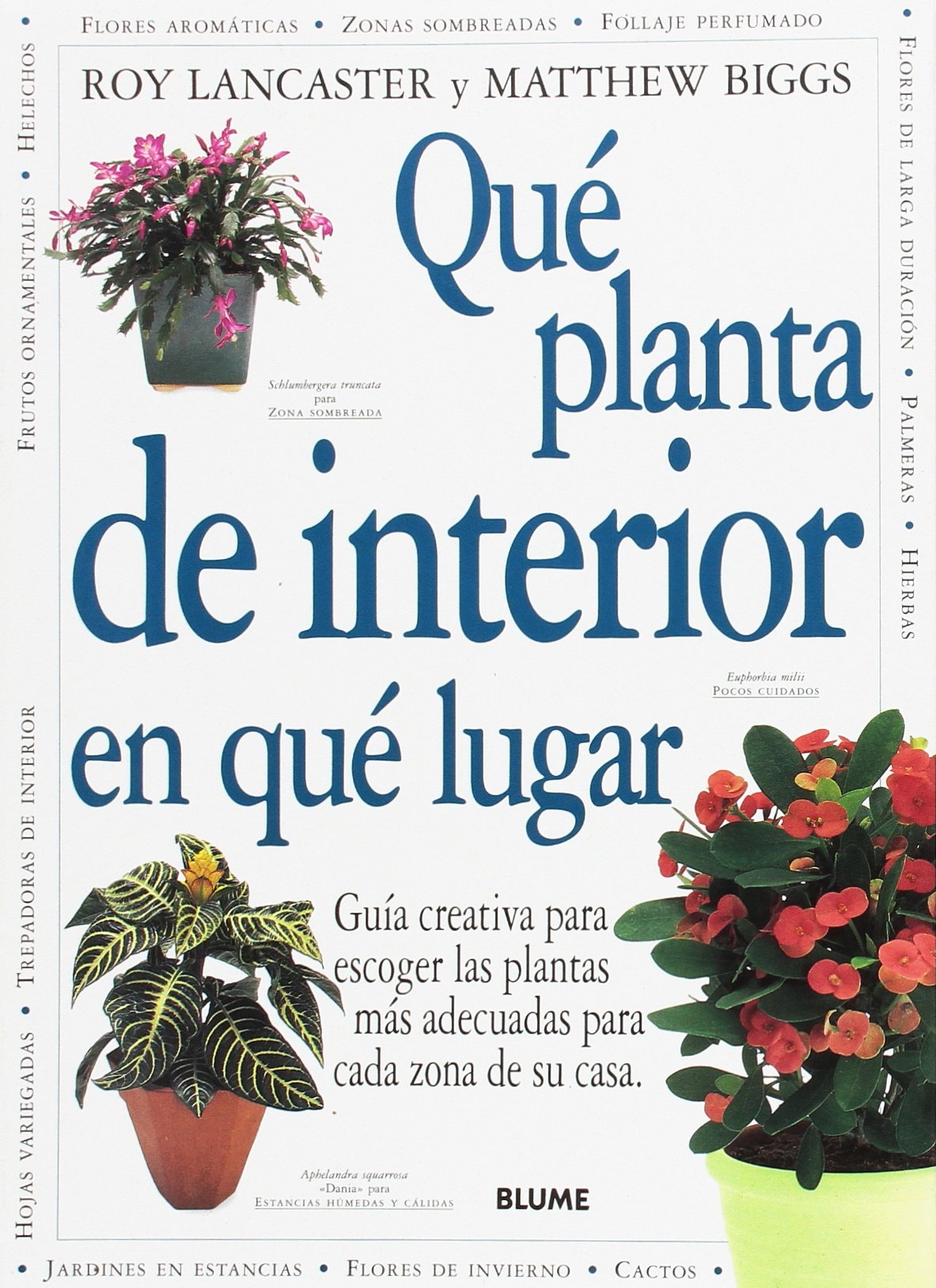 Que Planta De Interior En Que Lugar