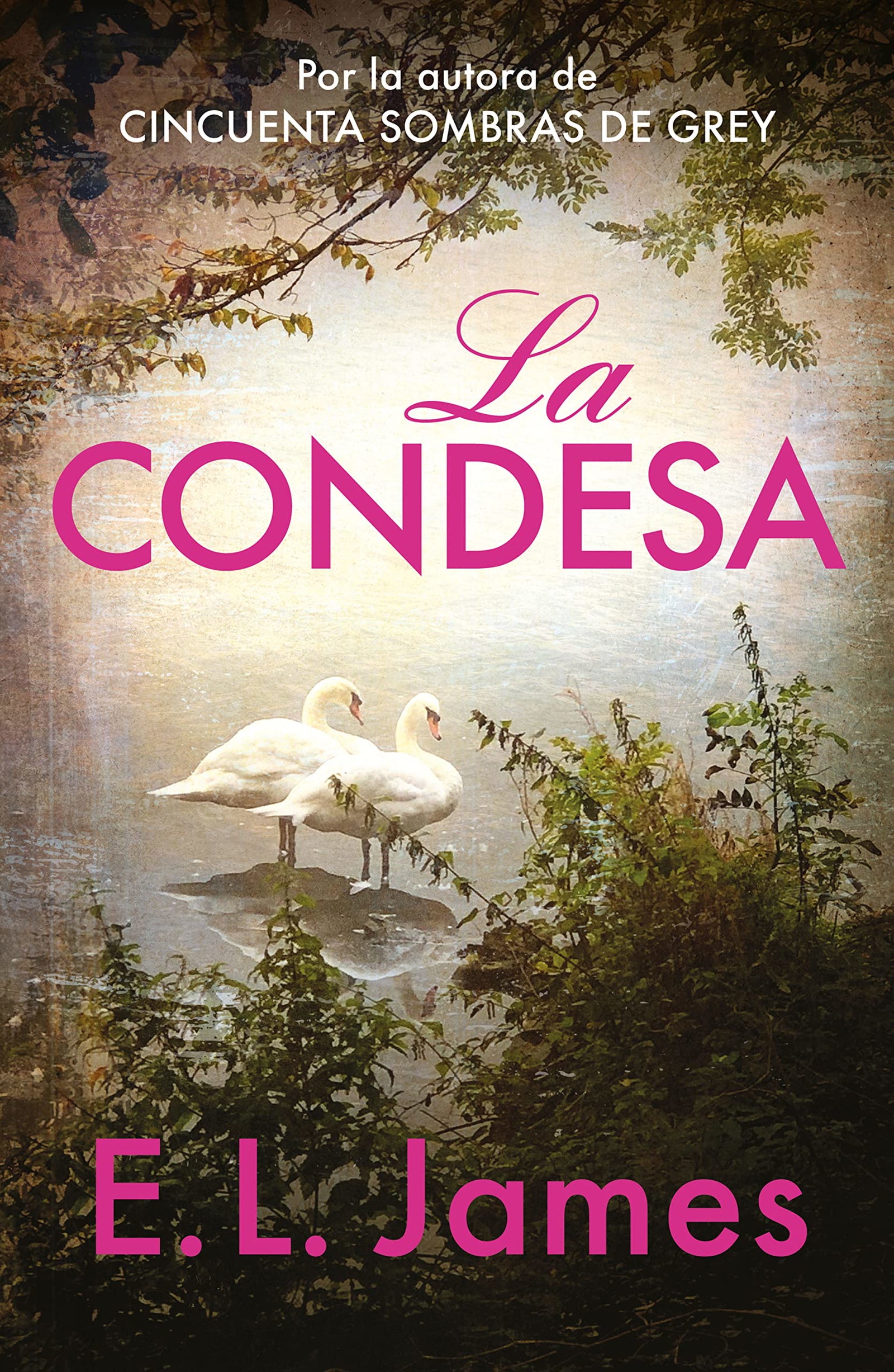 La condesa (Mister 2) (Ficción)
