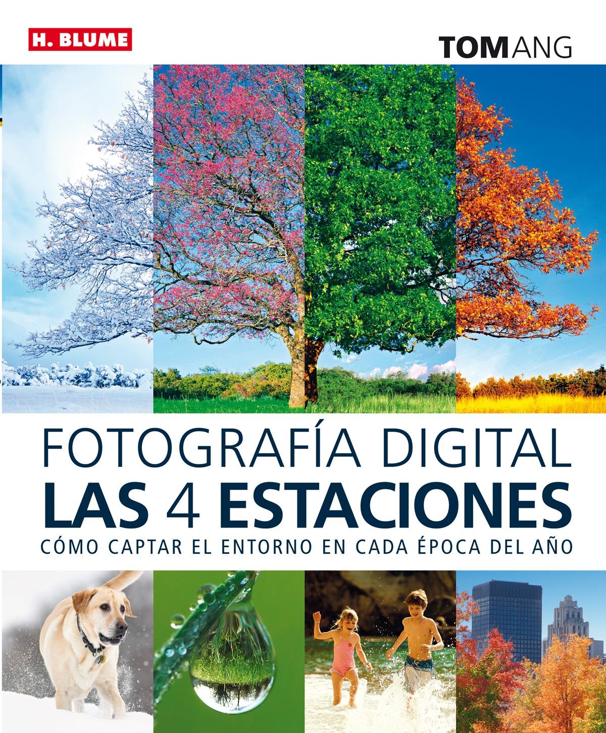 Fotografía digital las cuatro estaciones