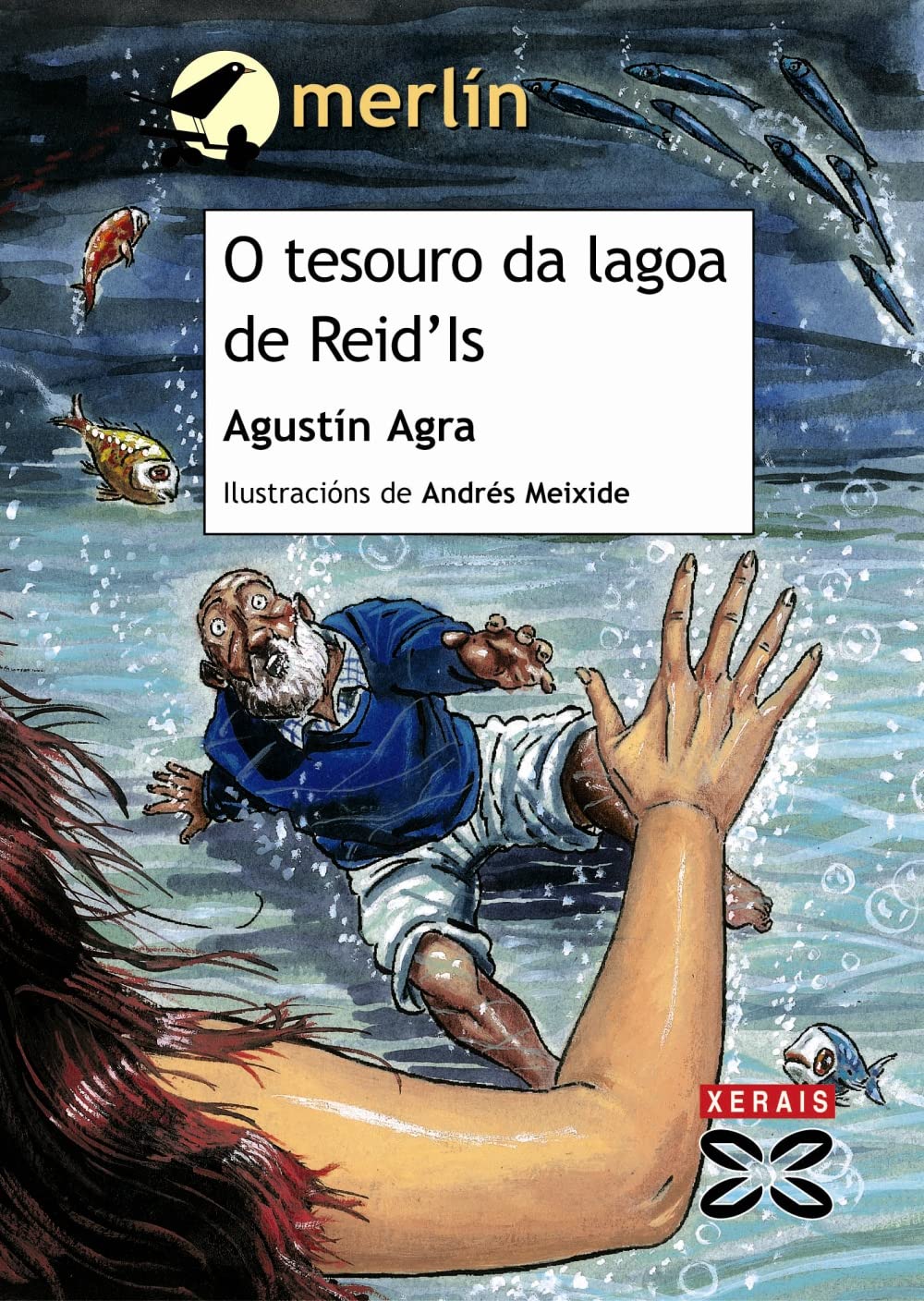 O tesouro da lagoa de Reid'Is (INFANTIL E XUVENIL - MERLÍN - De 11 anos en diante)