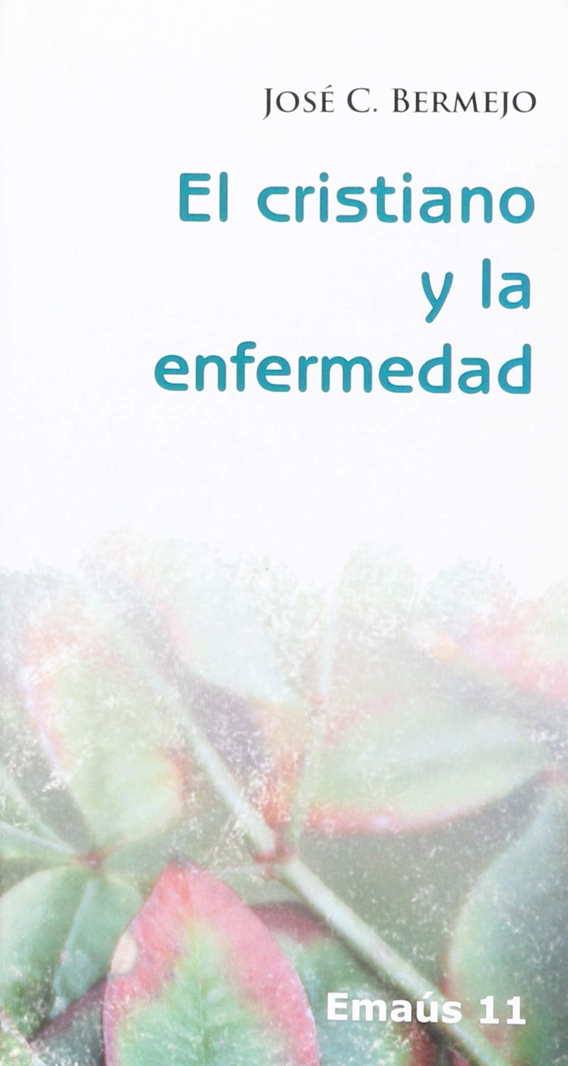 Cristiano y la enfermedad, El: 11 (Emaús)