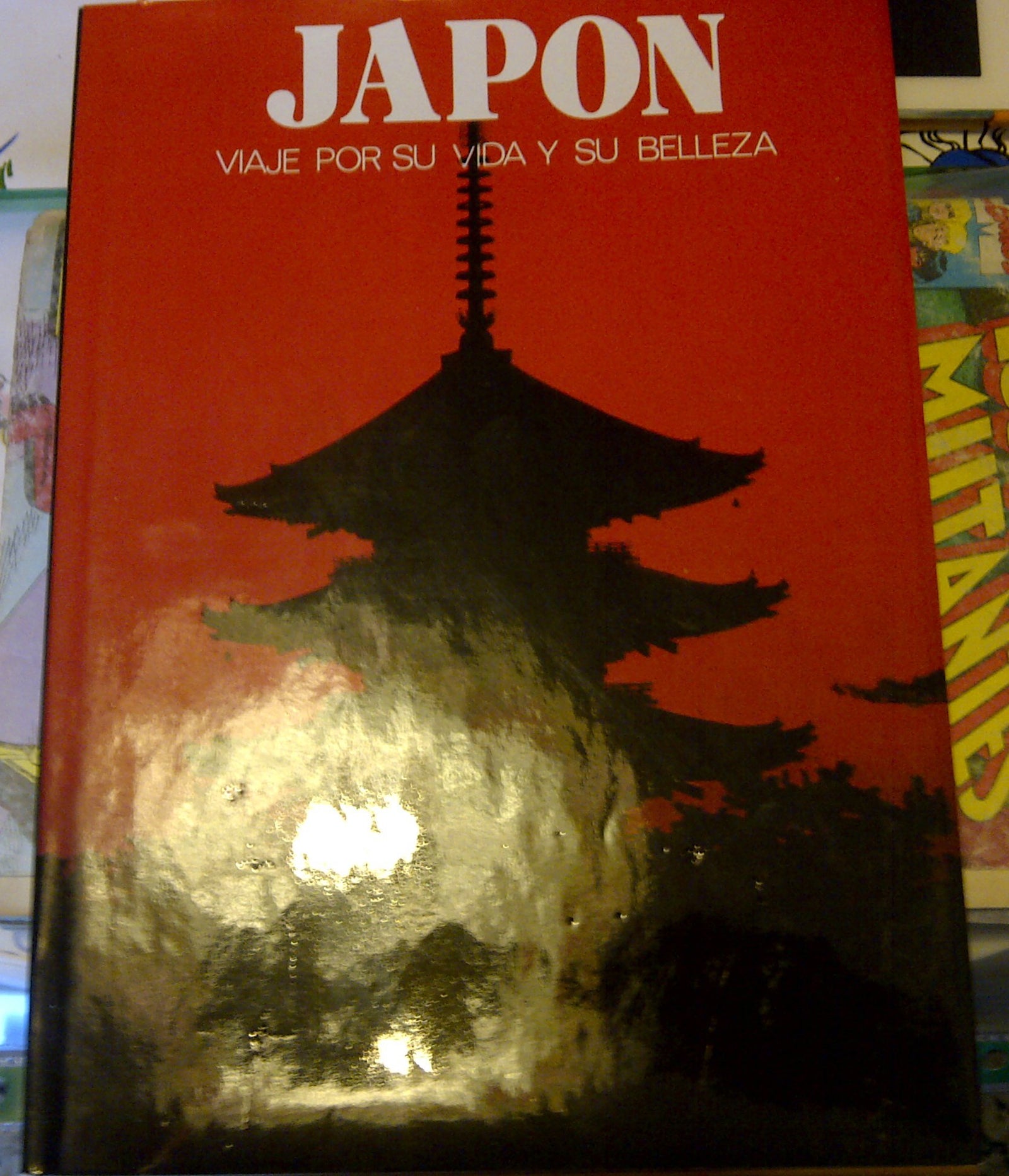 Title: Japon Viaje por su vida y su belleza Spanish Editi