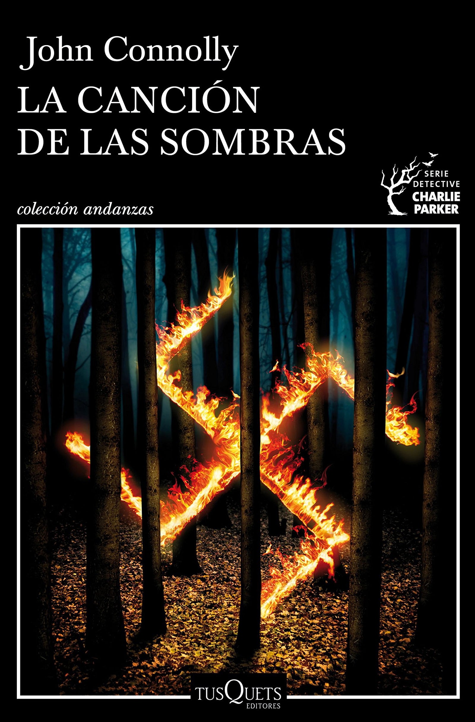 La canción de las sombras: 14 (Andanzas)
