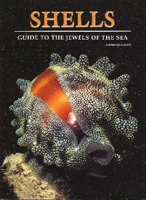 Shells: A Guide to the Jewels of the Sea