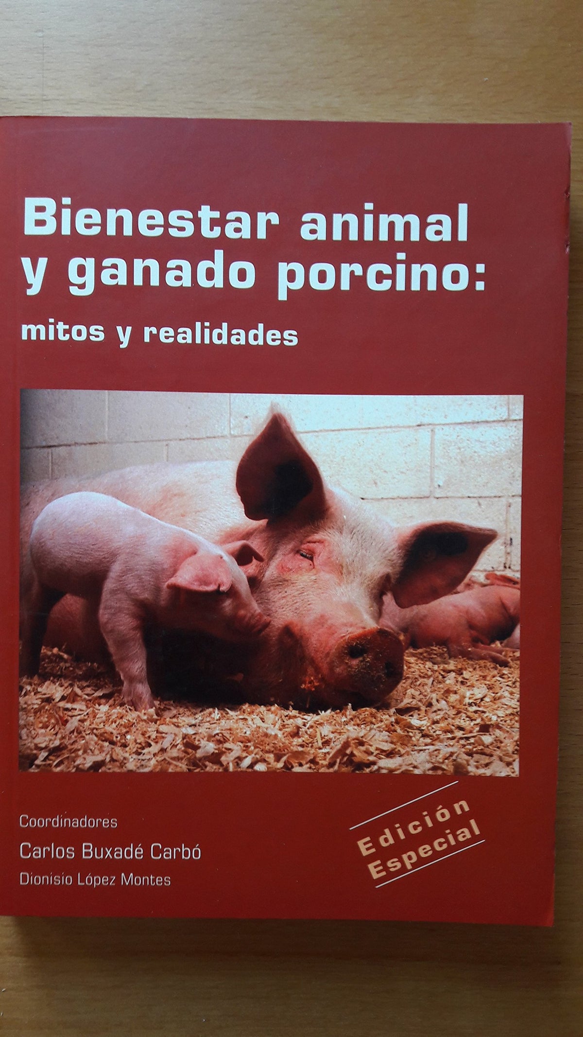 Bienestar animal y ganado porcino: mitos y realidades