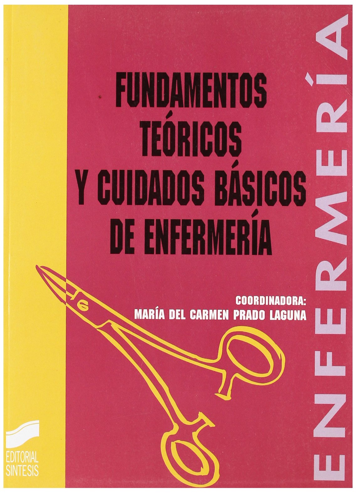 Fundamentos teóricos y cuidados básicos de enfermería: 13 (Enfermería, fisioterapia y podología. Serie enfermería)