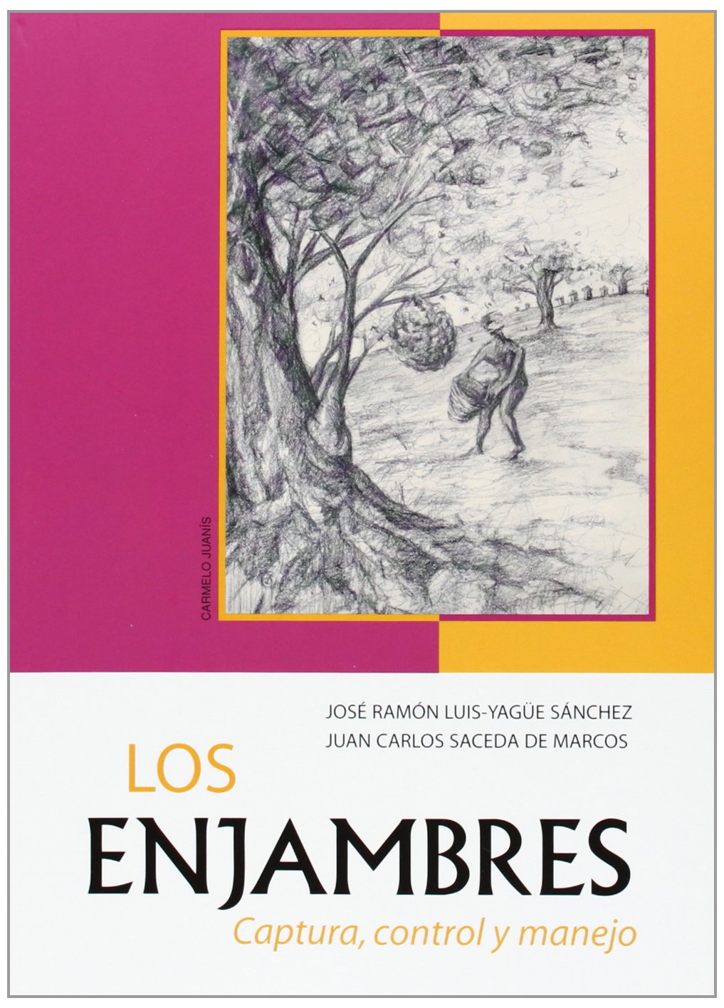 Los enjambres (MONTAGUD)