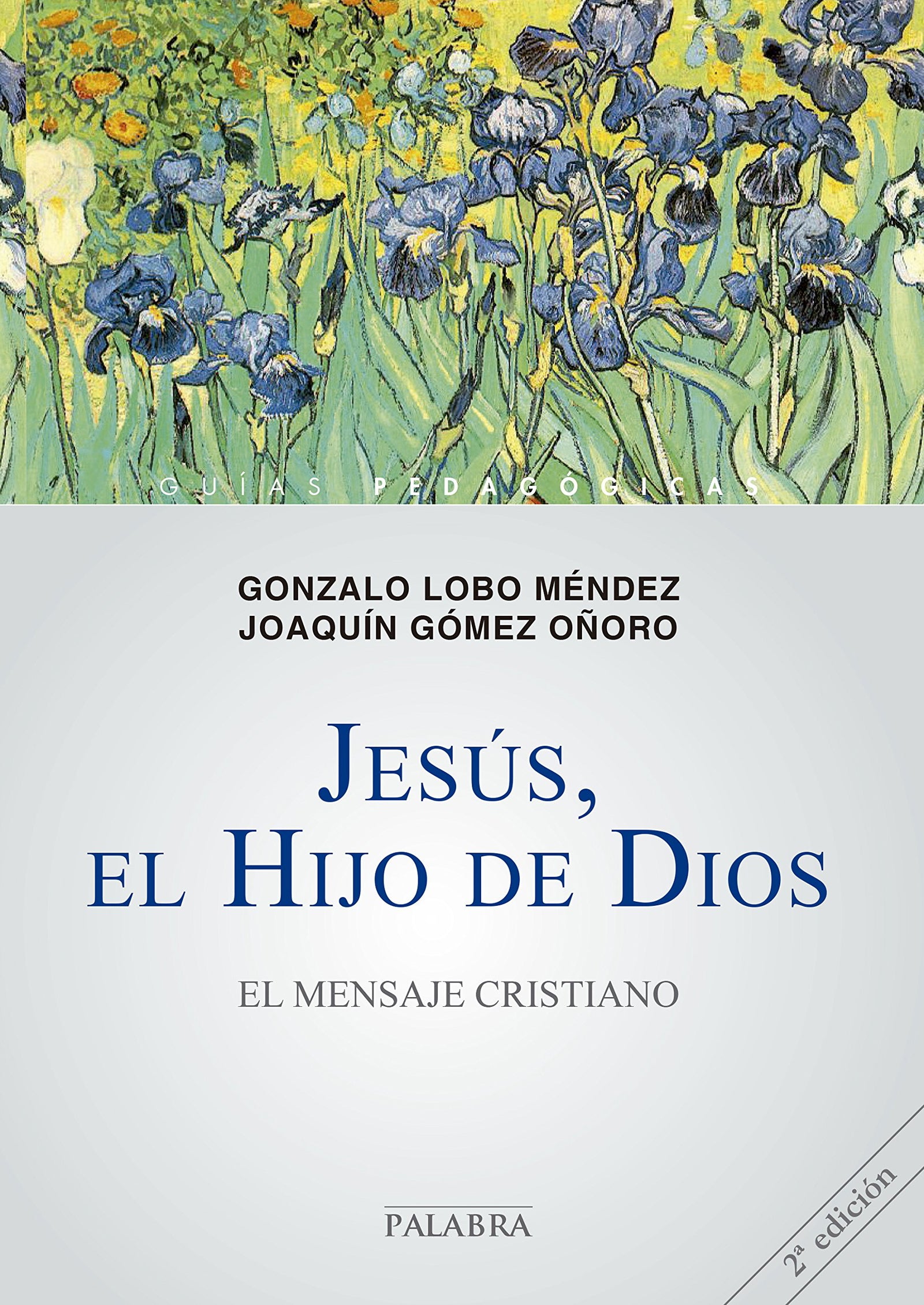 Jesus el Hijo De Dios. Mensaje Cristiano: El mensaje cristiano (Guías pedagógicas)