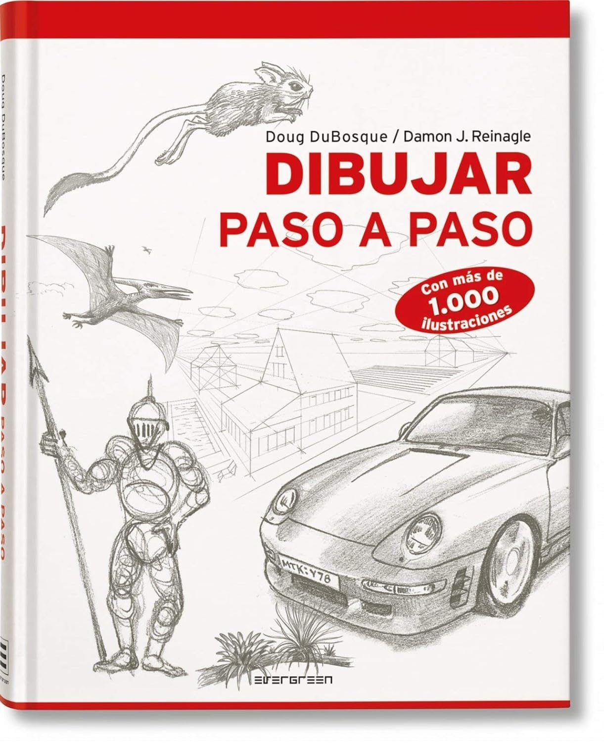 Dibujar Paso A Paso