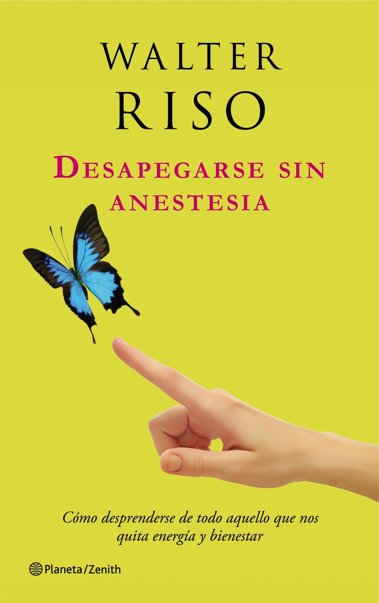 Desapegarse sin anestesia: Cómo desprenderse de todo aquello que nos quita energía y bienestar: 1 (Biblioteca Walter Riso)